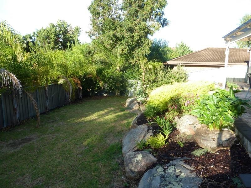 54 Torresan Crescent, Flagstaff Hill SA 5159