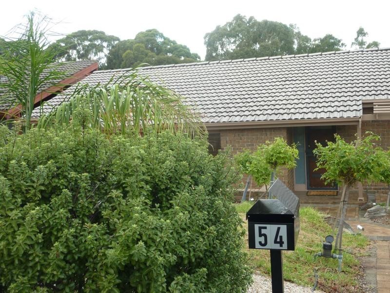 54 Torresan Crescent, Flagstaff Hill SA 5159
