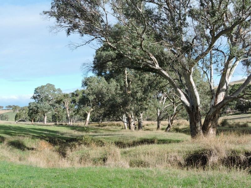 L399 Inman Valley Road, Yankalilla SA 5203