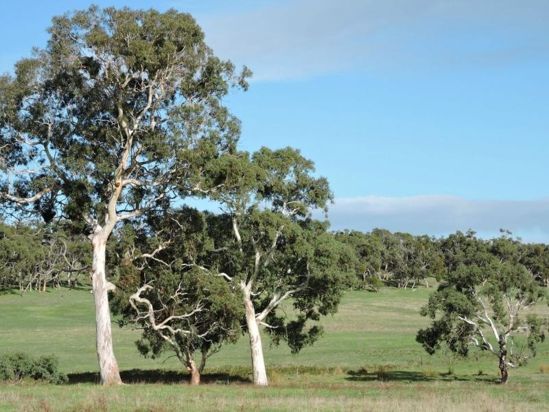 L399 Inman Valley Road, Yankalilla SA 5203