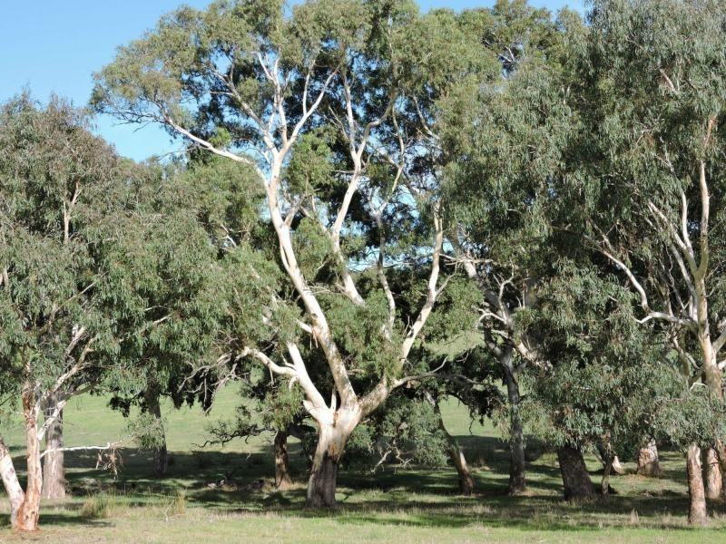 L399 Inman Valley Road, Yankalilla SA 5203