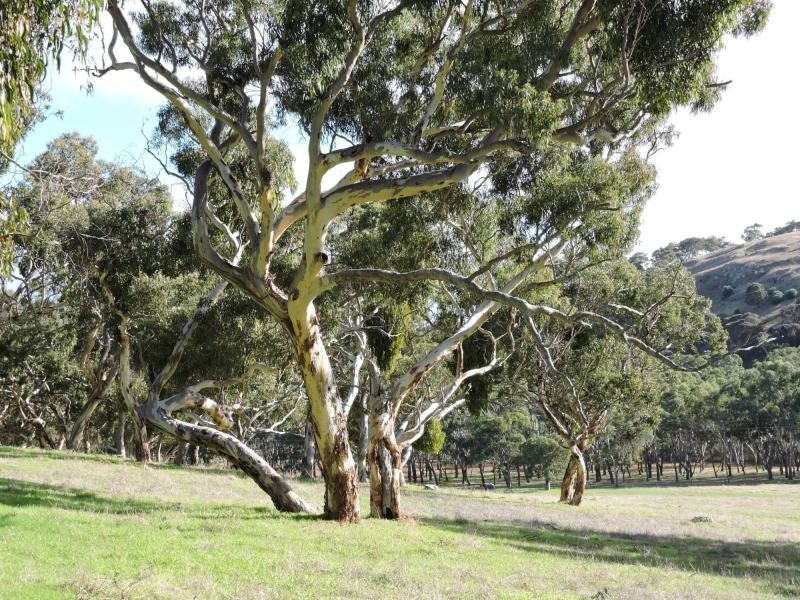 L399 Inman Valley Road, Yankalilla SA 5203
