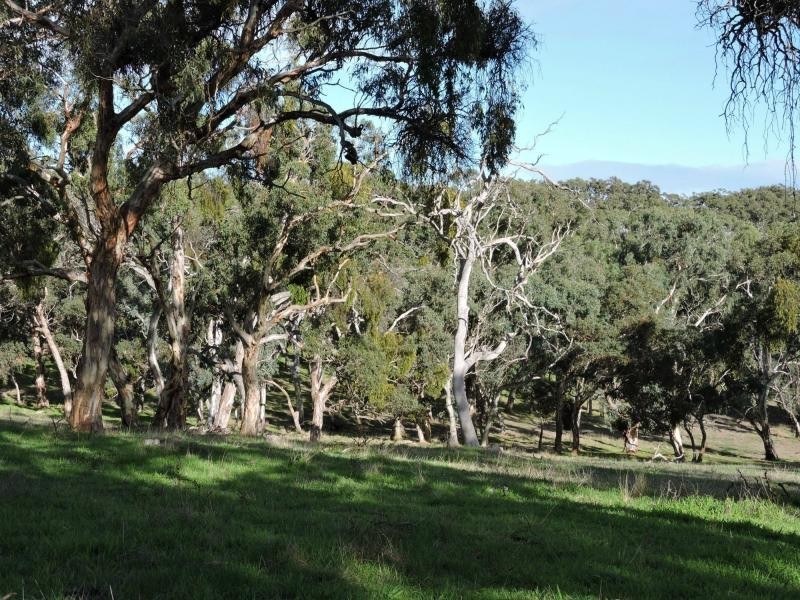 L399 Inman Valley Road, Yankalilla SA 5203