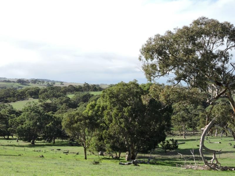 L399 Inman Valley Road, Yankalilla SA 5203