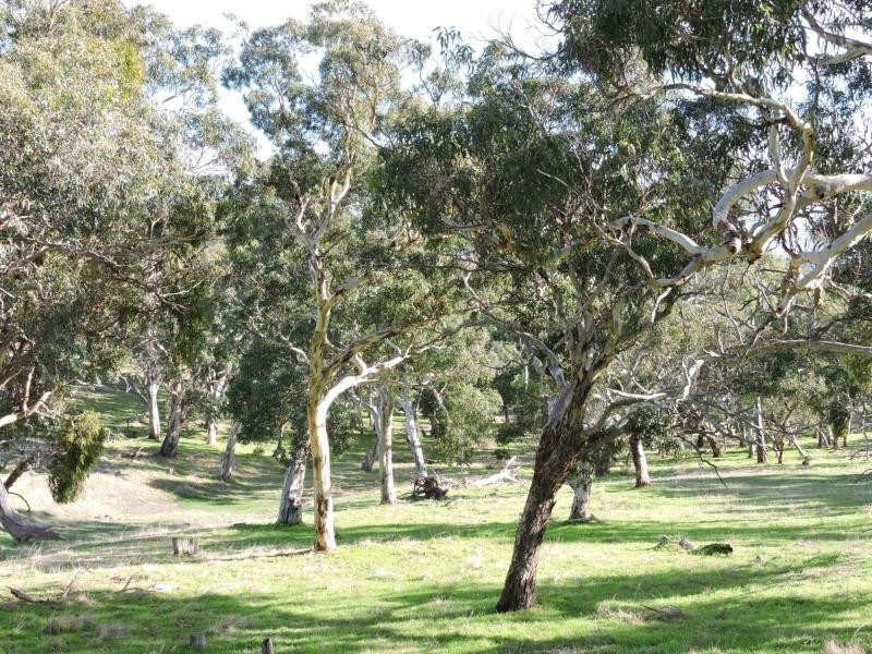 L399 Inman Valley Road, Yankalilla SA 5203