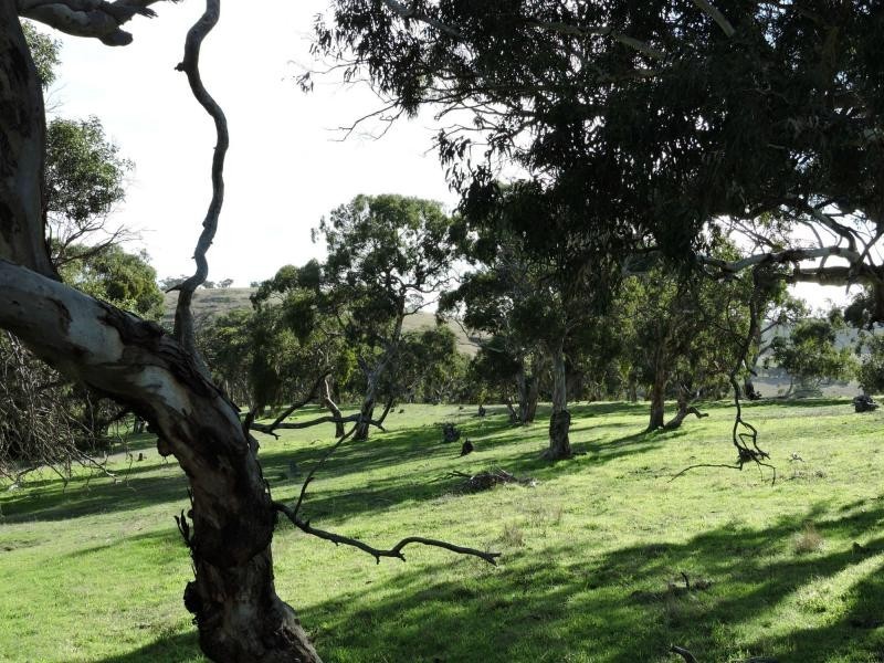 L399 Inman Valley Road, Yankalilla SA 5203