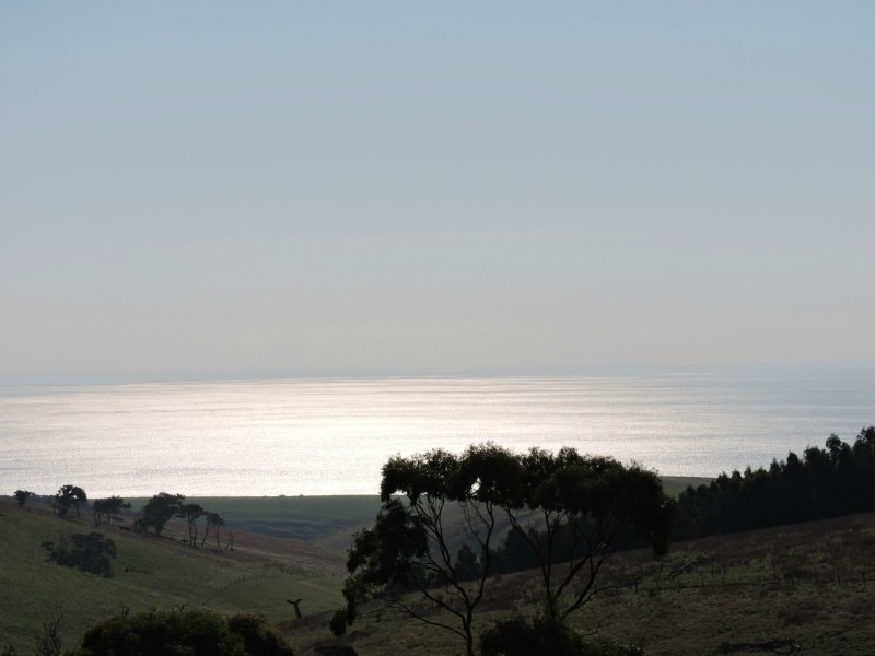 Lot 23 Forktree Road, Wattle Flat SA 5203