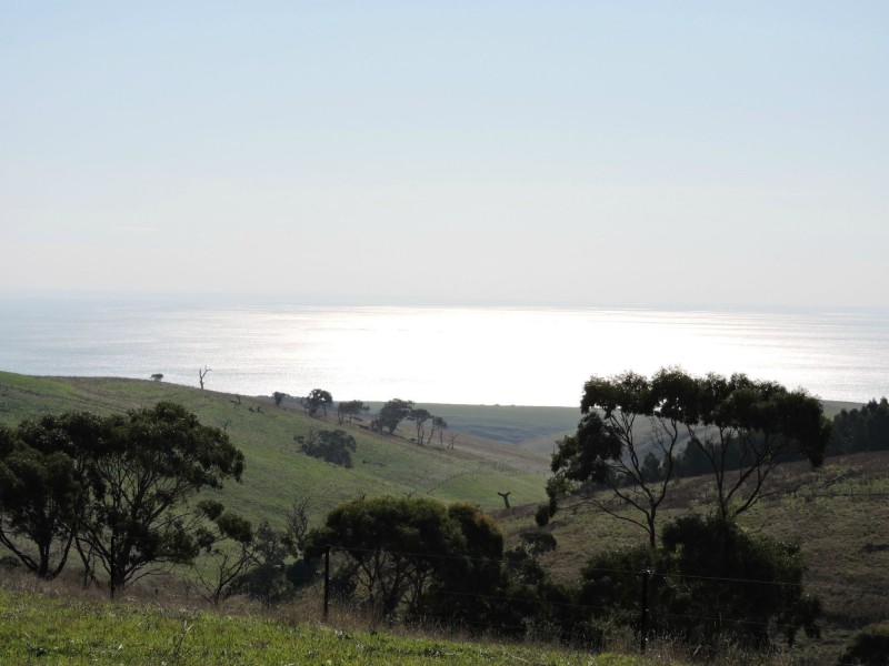 Lot 23 Forktree Road, Wattle Flat SA 5203