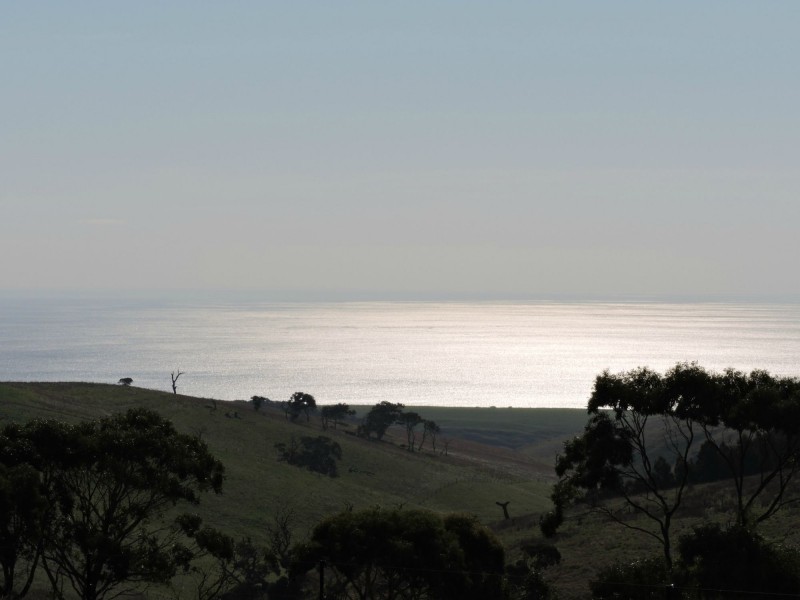 Lot 23 Forktree Road, Wattle Flat SA 5203