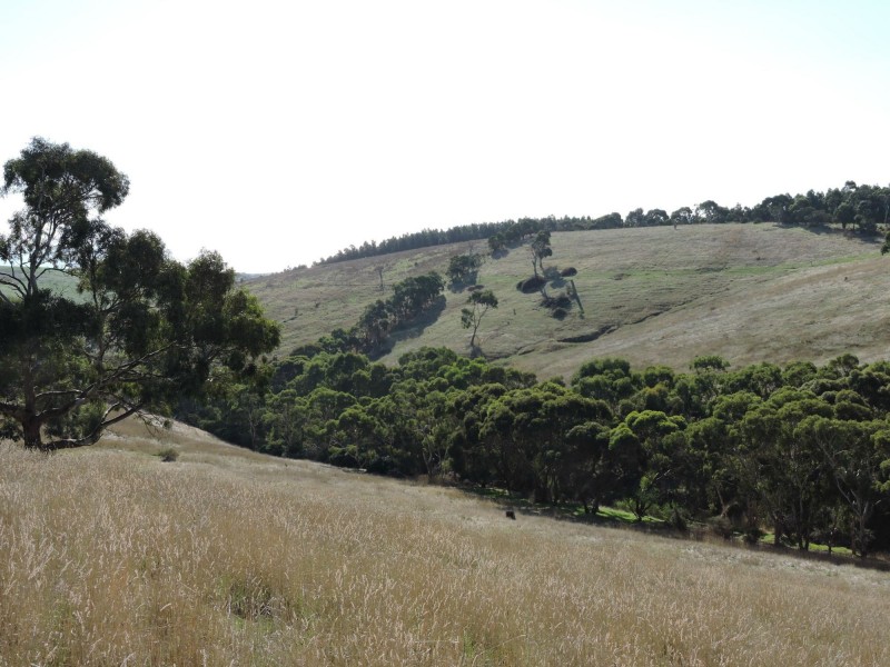 Lot 23 Forktree Road, Wattle Flat SA 5203