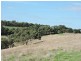 Lot 23 Forktree Road, Wattle Flat SA 5203