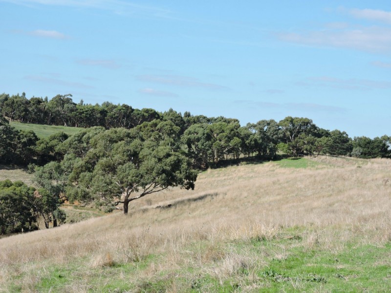 Lot 23 Forktree Road, Wattle Flat SA 5203
