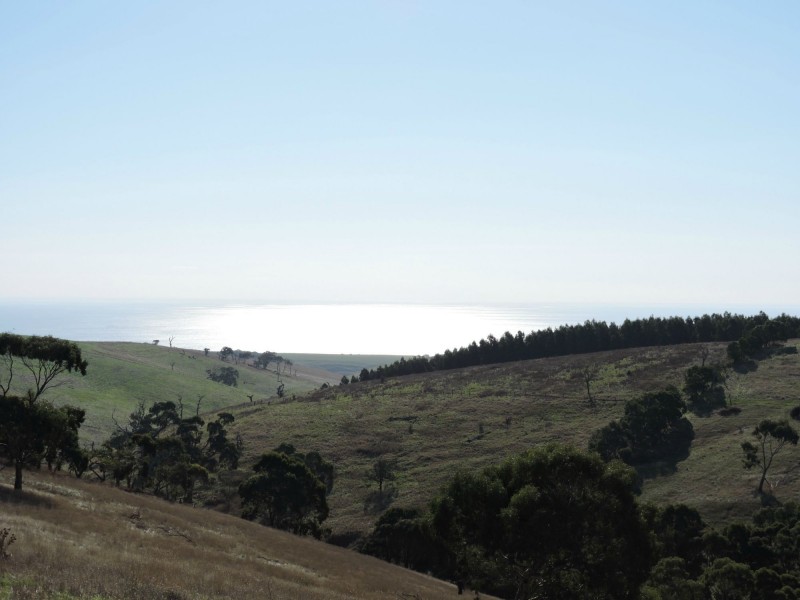 Lot 23 Forktree Road, Wattle Flat SA 5203