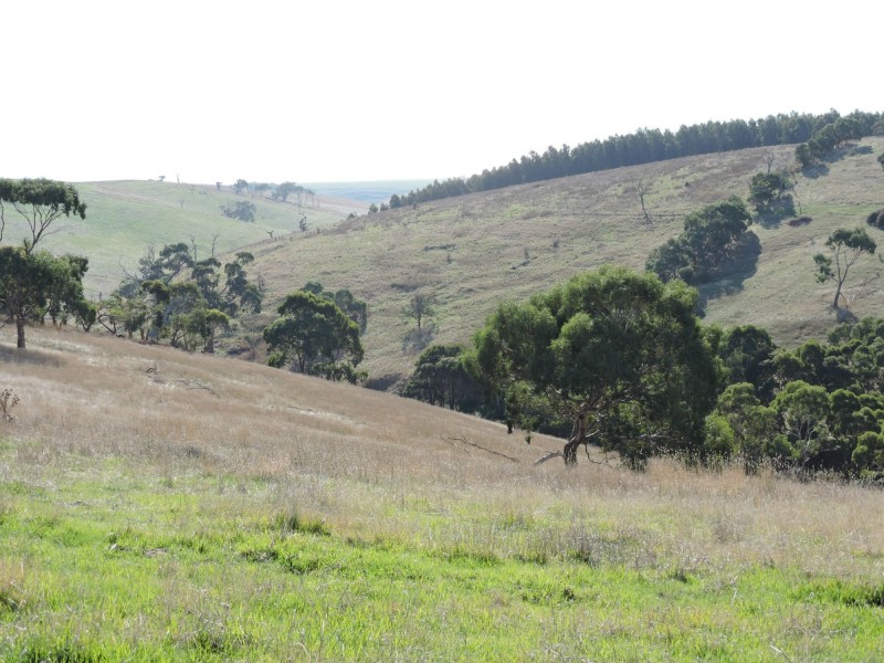 Lot 23 Forktree Road, Wattle Flat SA 5203