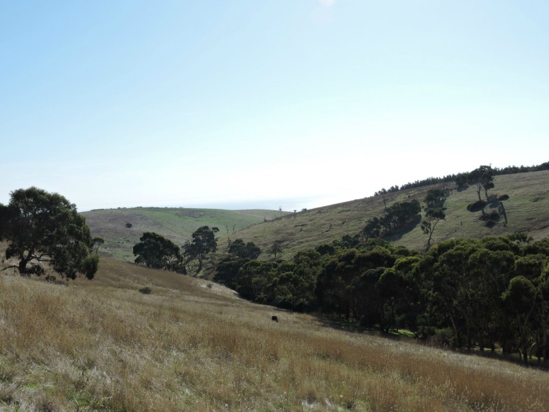 Lot 23 Forktree Road, Wattle Flat SA 5203