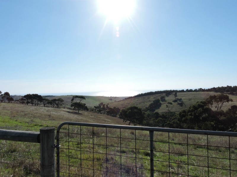 Lot 23 Forktree Road, Wattle Flat SA 5203