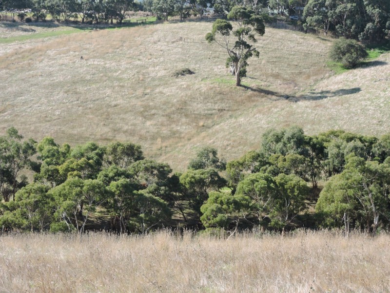 Lot 23 Forktree Road, Wattle Flat SA 5203