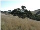 Lot 23 Forktree Road, Wattle Flat SA 5203