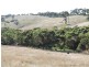 Lot 23 Forktree Road, Wattle Flat SA 5203