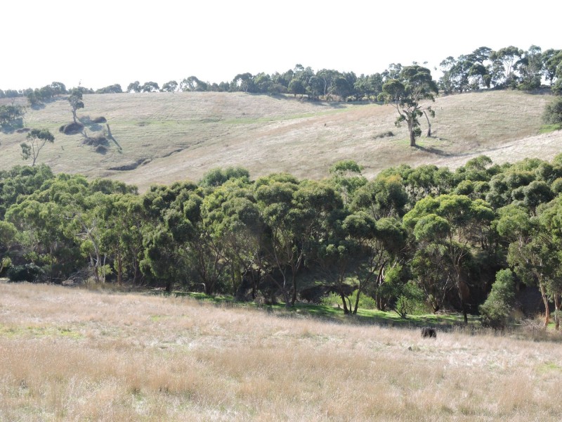 Lot 23 Forktree Road, Wattle Flat SA 5203