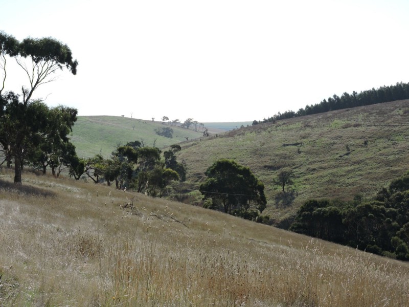 Lot 23 Forktree Road, Wattle Flat SA 5203