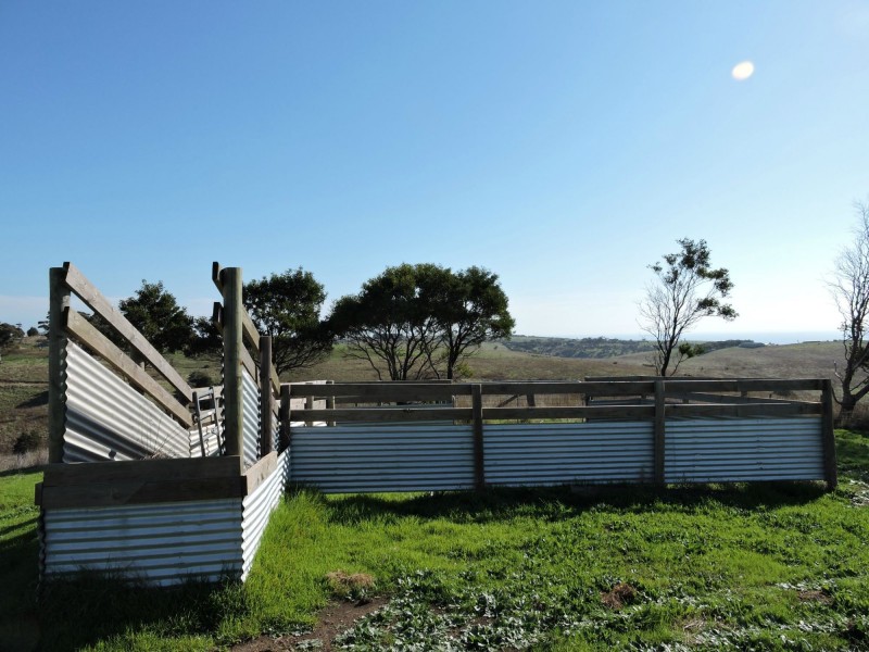 Lot 23 Forktree Road, Wattle Flat SA 5203