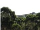 Lot 23 Forktree Road, Wattle Flat SA 5203