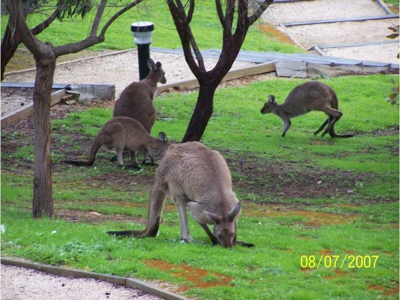 47/L62 Seaview Avenue, Wirrina Cove SA 5204