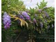 1764 Inman Valley Rd, Inman Valley SA 5211