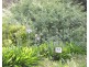 1764 Inman Valley Rd, Inman Valley SA 5211