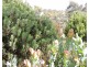 1764 Inman Valley Rd, Inman Valley SA 5211