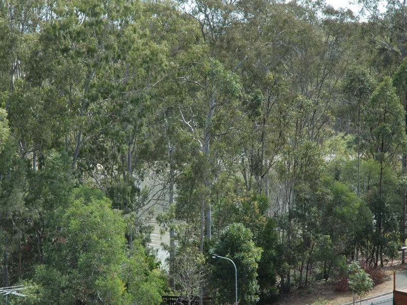 6 Gidgi Place, Westlake QLD 4074