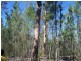 Tara QLD 4421