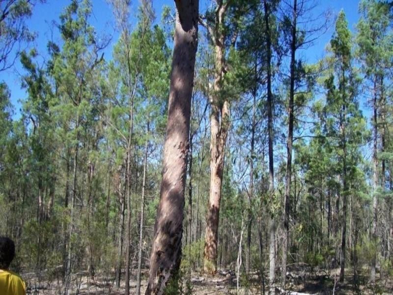 Tara QLD 4421