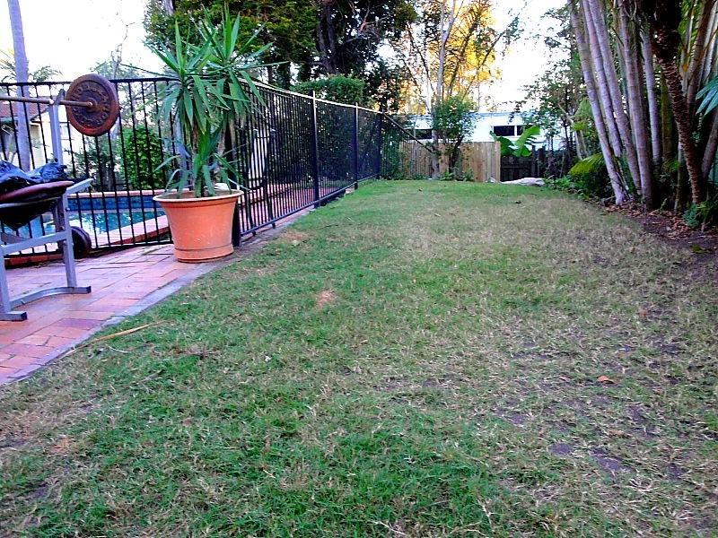 26 Buffalo Street, Riverhills QLD 4074