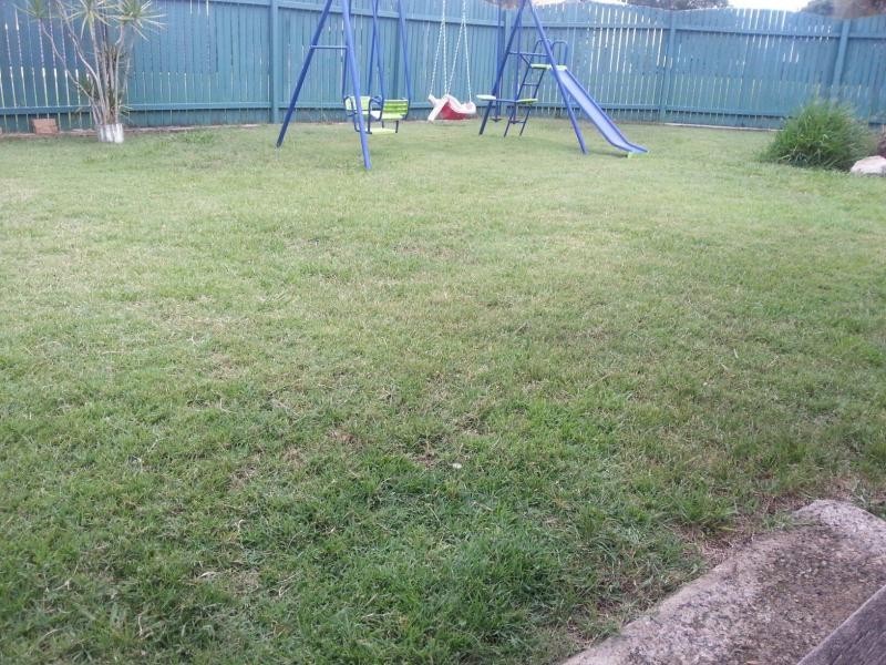 39 Frederick Street, Newtown QLD 4305