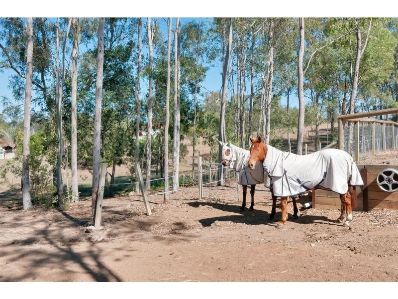 18 Cononbar Place, Karalee QLD 4306