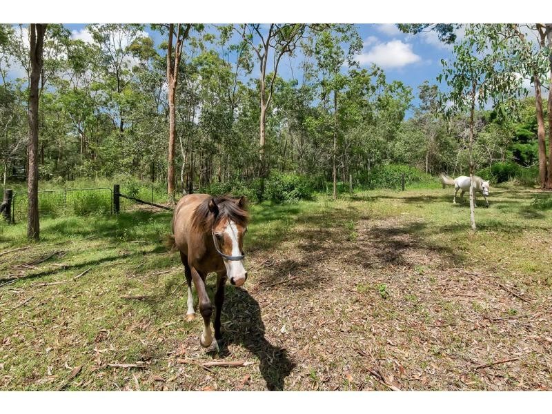 106 Arthur Summervilles Road, Karalee QLD 4306