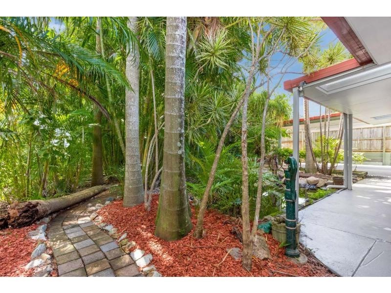 16 Hibbertia Court, Springwood QLD 4127