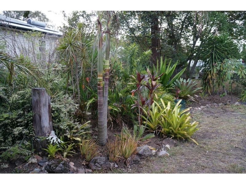 17 Ingham Street, Oxley QLD 4075