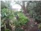 Jindalee QLD 4074
