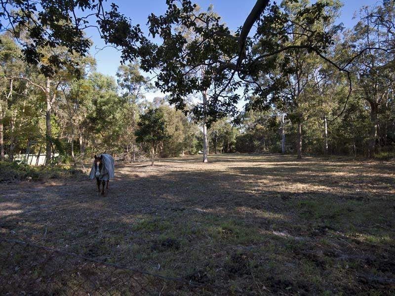 33 Addison Road, Camira QLD 4300
