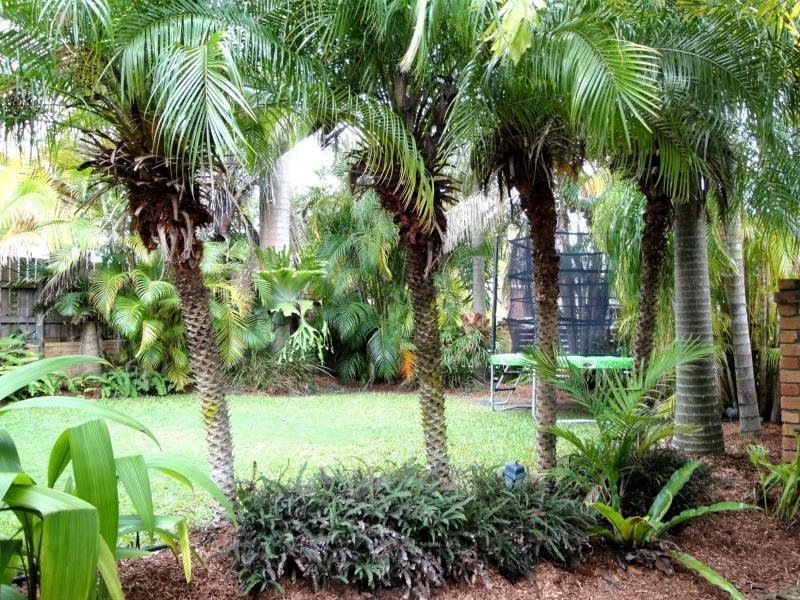 48 Juba Street, Riverhills QLD 4074