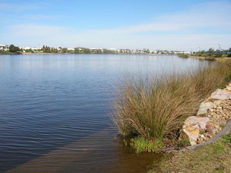 10 MACON Street, BIRTINYA ISLAND, Birtinya QLD 4575