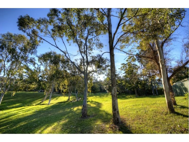 4 MURRAY PINE Court, Buderim QLD 4556