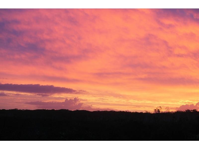 45 Sailfish Drive, Mountain Creek QLD 4557