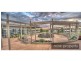 8 Tibouchina Street, BRIGHTWATER, Mountain Creek QLD 4557
