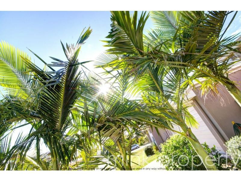 06 LARK Circuit, BRIGHTWATER, Mountain Creek QLD 4557