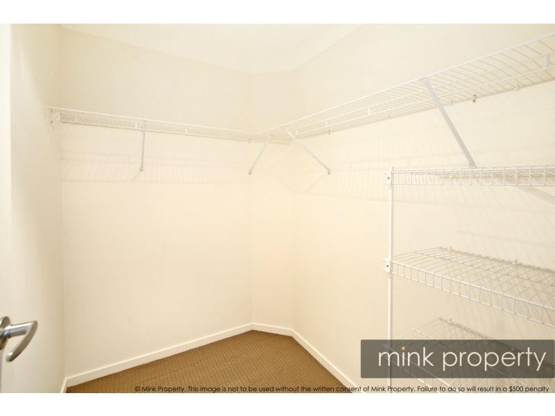 1176 Curtis Street, Brightwater, Mountain Creek QLD 4557 Mink