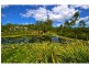 4 Maidenhair Drive, Woodgrove, Beerwah QLD 4519